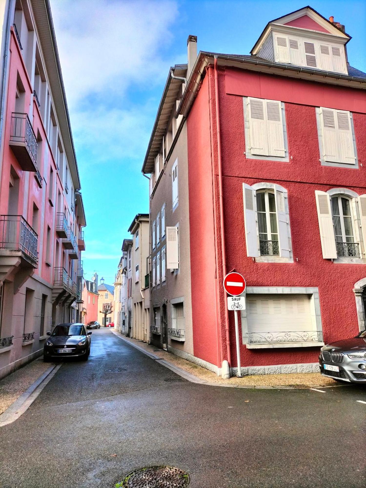 La Roseraie, Loft 3 Etoiles, Calme Et Ensoleille Au Pied Des Pyrenees Баньєр-де-Бігорр Екстер'єр фото